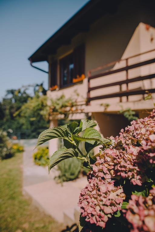 Holiday Home Castanea Praporcan Exteriér fotografie