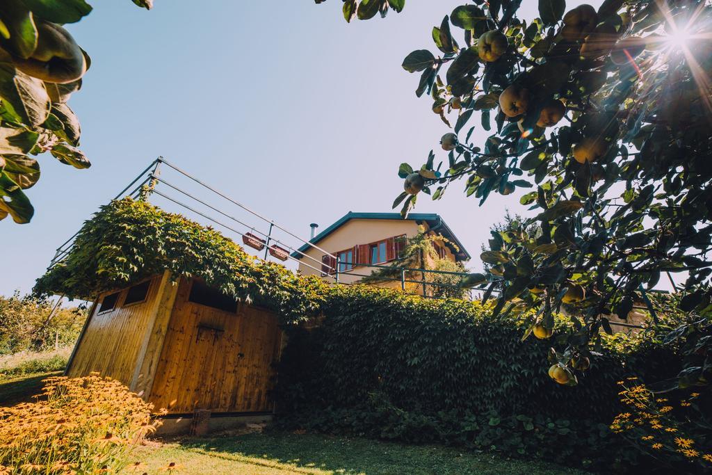 Holiday Home Castanea Praporcan Exteriér fotografie